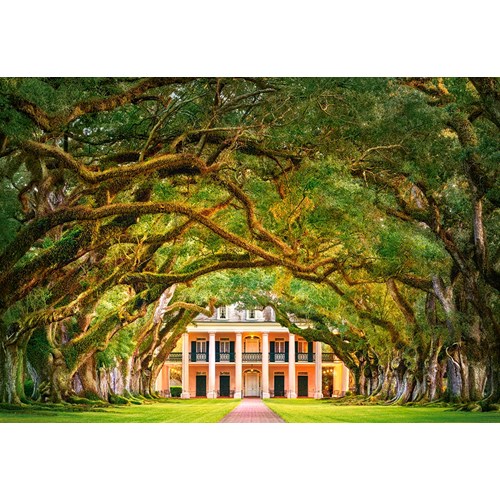 1000 bitar - Oak Alley Plantation