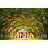 1000 bitar - Oak Alley Plantation