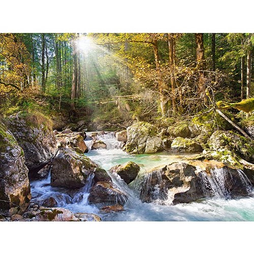 2000 bitar - Stream in the Forest