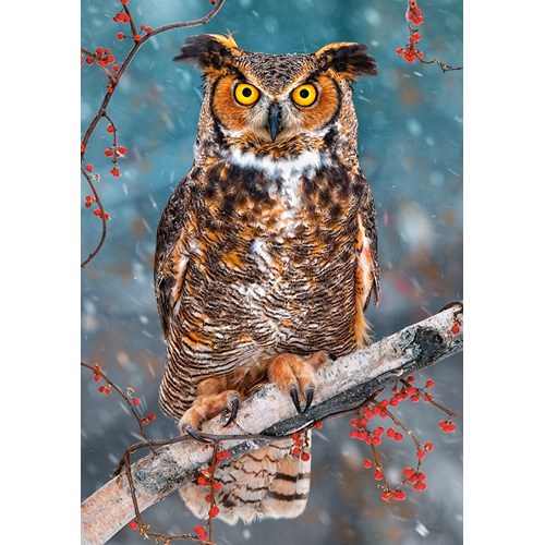 500 bitar - Great Horned Owl