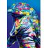 1000 bitar - Dolphin