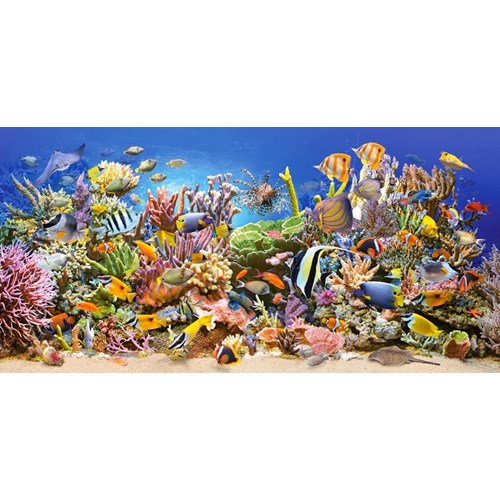 4000 bitar - The underwater life