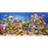 4000 bitar - The underwater life
