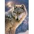 500 bitar - Lone wolf
