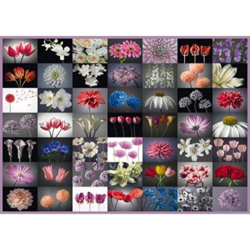 2000 bitar - Vackra blommor