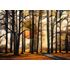 1000 bitar - Magical forest