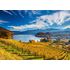 2000 bitar - Vineyards