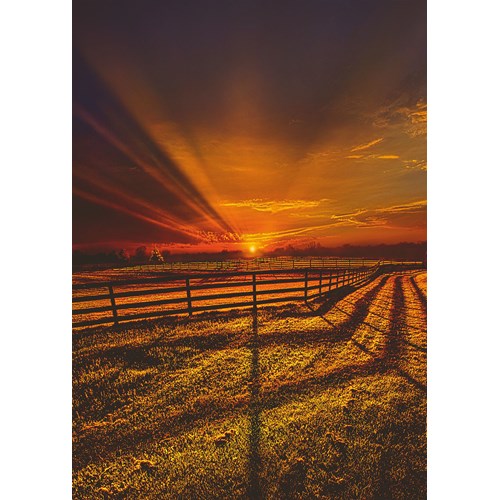 1000 bitar - Phil Koch, Evening stillness