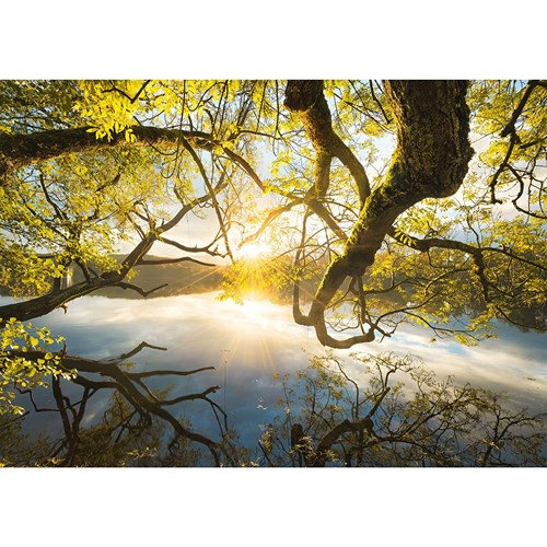 1000 bitar - Stefan Hefele, Embrace of gold