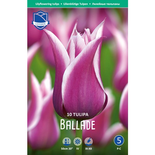 Tulpan, Lilje, Ballade
