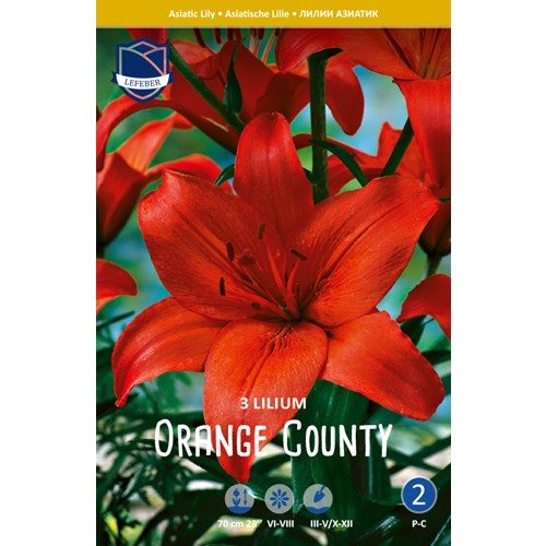 Lilja, Asiat, Orange County