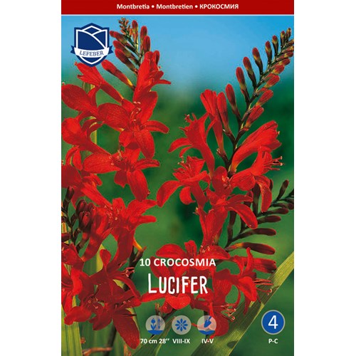 Montbretia, Lucifer