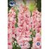 Gladiol, Adrenalin