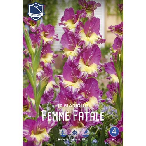 Gladiol, Femme Fatale