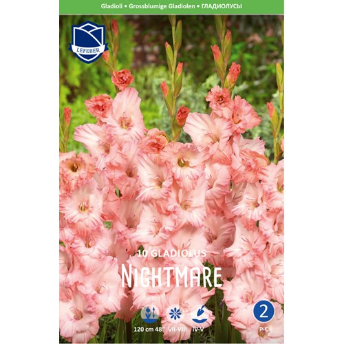 Gladiol, Nightmare