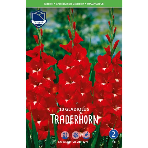 Gladiol, Traderhorn