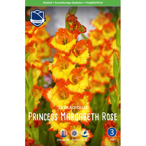 Gladiol, Princess Margaret Rose