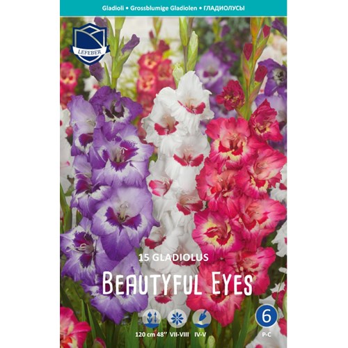 Gladiol, Beautiful Eyes