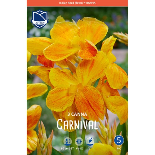Kanna, Carnival
