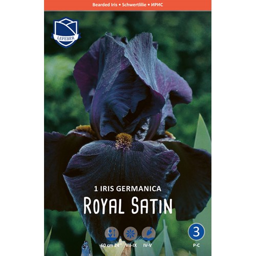Iris Germanica, Royal Satin