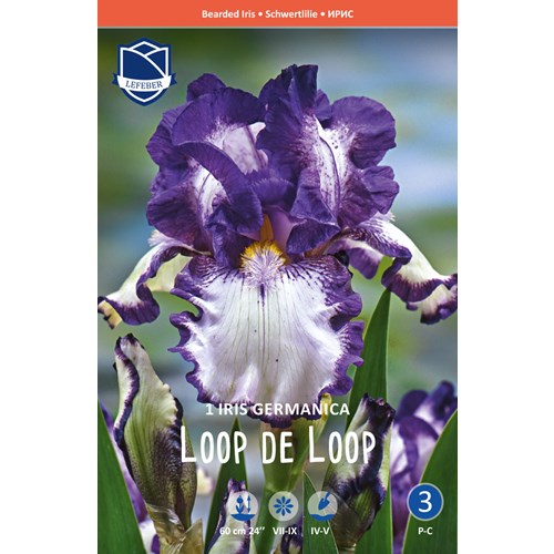 Iris Germanica, Loop the Loop