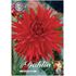 Dahlia, Berger´s Record