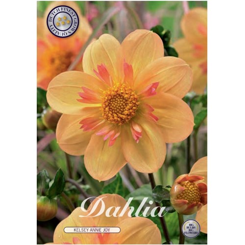 Dahlia, Kelsey Annie Joy
