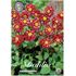 Dahlia, Fantastico