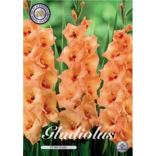 Gladiol, Peter Pears