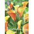 Kalla, Mango