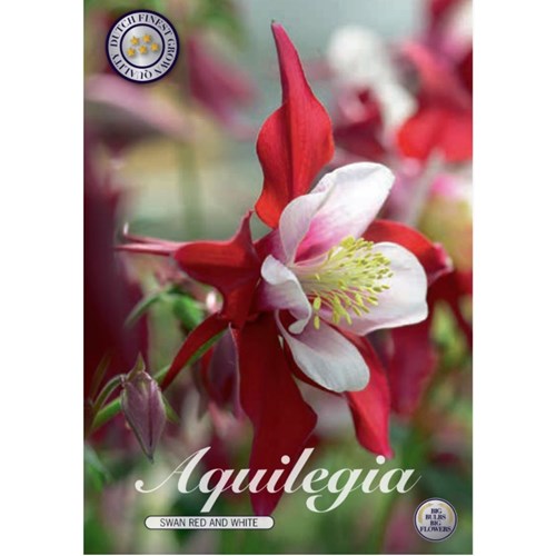 Akleja, Swan Red an White