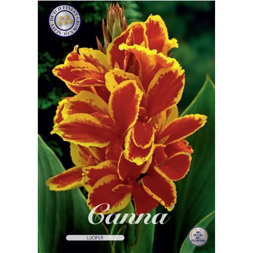 Kanna, Lucifer