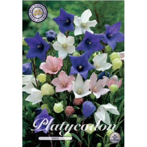 Praktklocka, blandade färger