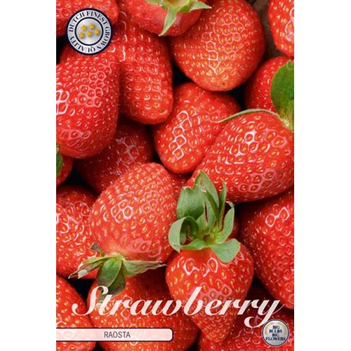 Jordgubbe, Raosta