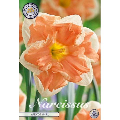 Narciss, Apricot Whirl