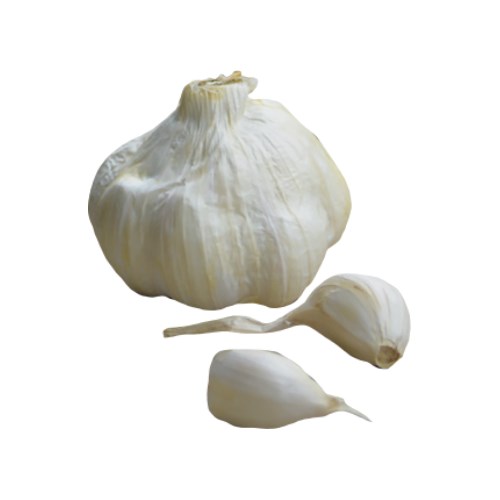 Vitlök, Sabagold