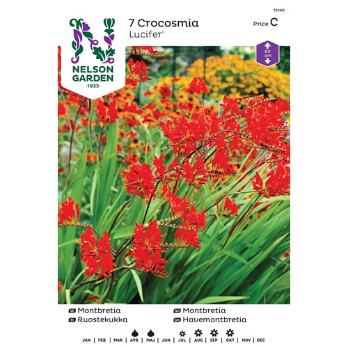 Crocosmia, Lucifer, rödorange