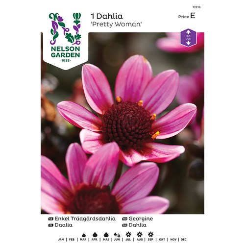Dahlia, Pretty Woman