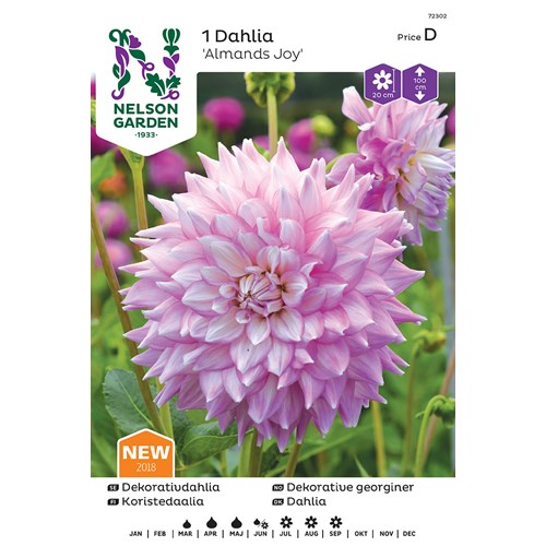 Dahlia, Almands joy