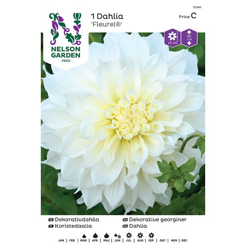 Dahlia, Fleurel