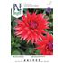 Dahlia, Wittemans best