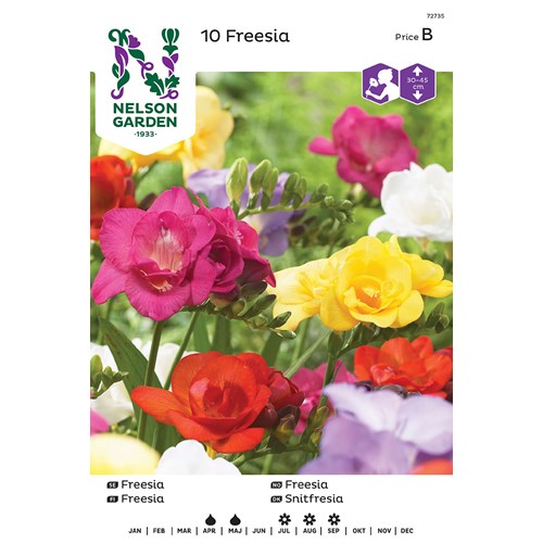 Freesia, Dubbel, bland. färger