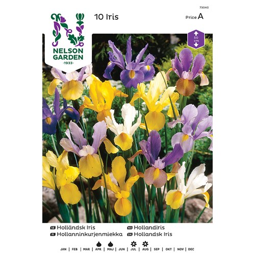 Iris, Holländsk, bland. färger