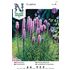 Rosenstav, Liatris spicata, lila