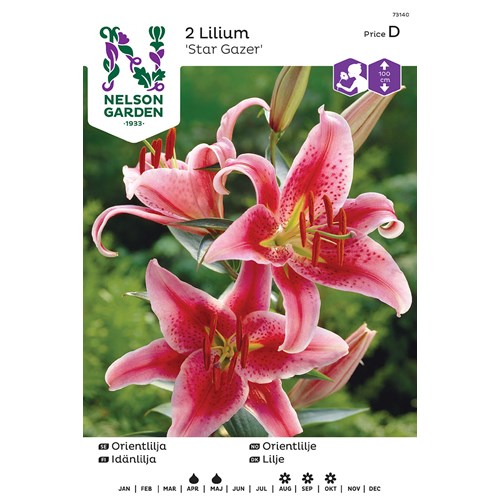 Lilja, Orient, Stargazer