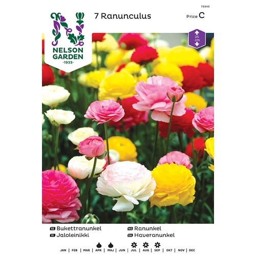 Ranunkel, Ranunculus, bland. färger