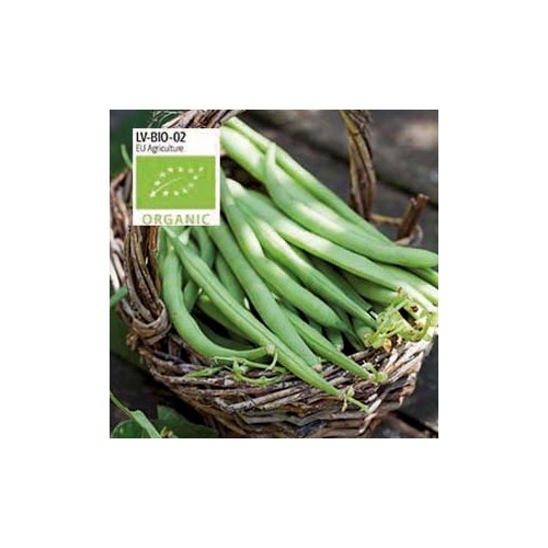 Böna, brytböna, Maxi, Organic