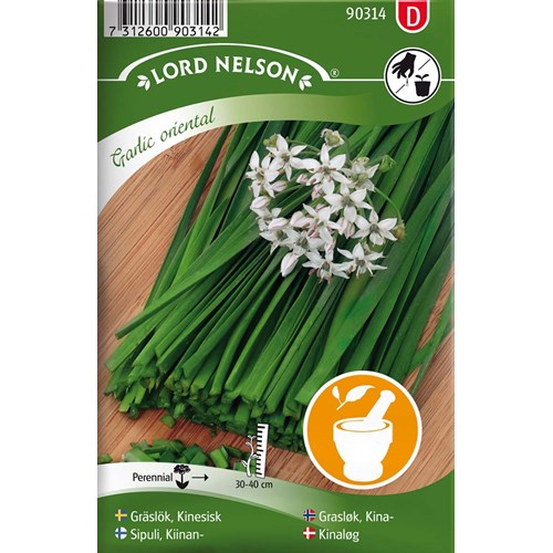 Gräslök, Kinesisk, Garlic oriental