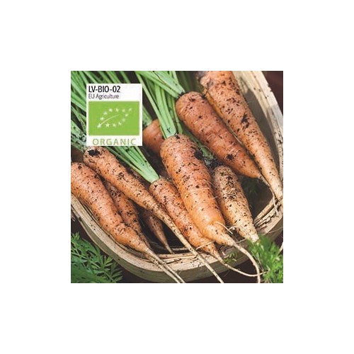 Morot, Sommarmorot, Berlicum 2, Organic