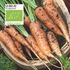 Morot, Sommarmorot, Berlicum 2, Organic